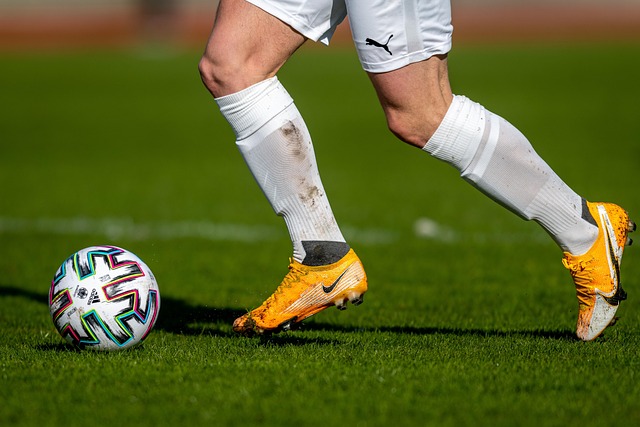 我们看到 我们看到